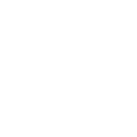 White LinkedIn logo