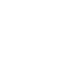 White Twitter bird logo